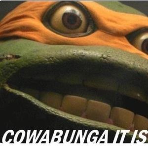 Meet your Posher, Jack